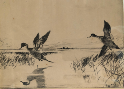 Frank Benson 'Pair of Pintails' - 1927 Frank Benson 'Pair of Pintails'