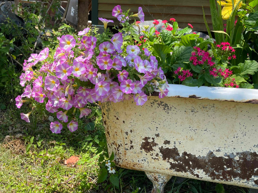 Live Oak Gallery Apalachicola Florida Tub of Flowers