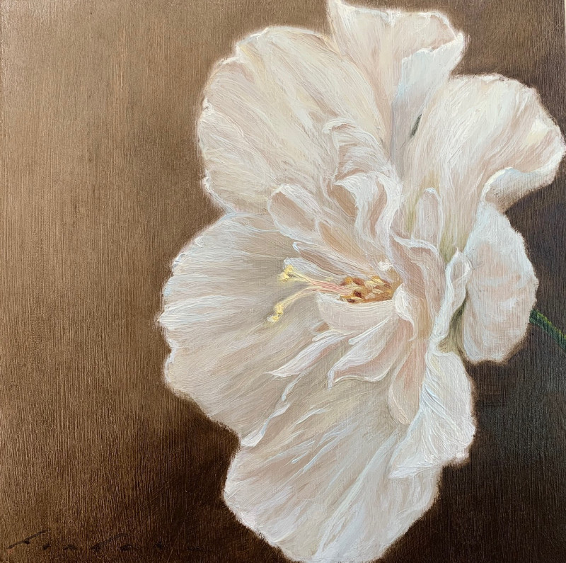 Gabriella Fiabane Double-Petal Hibiscus 10x10 oil on panel $550