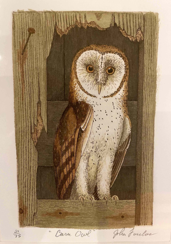 John Furches Barn Owl 14x11 burl wood framed etching-watercolor $250.